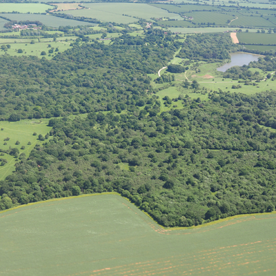 National Trust - Hatfield Forest