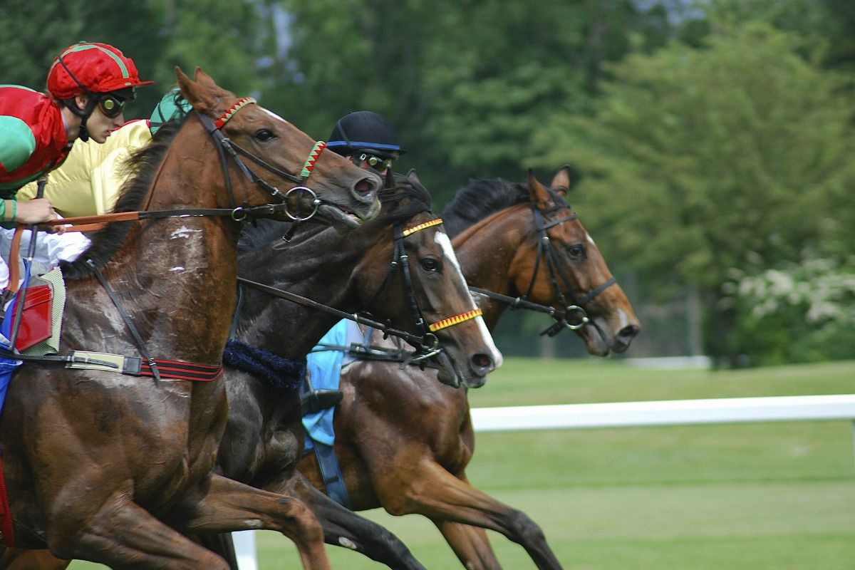 Newmarket Racecourse - London Stansted.