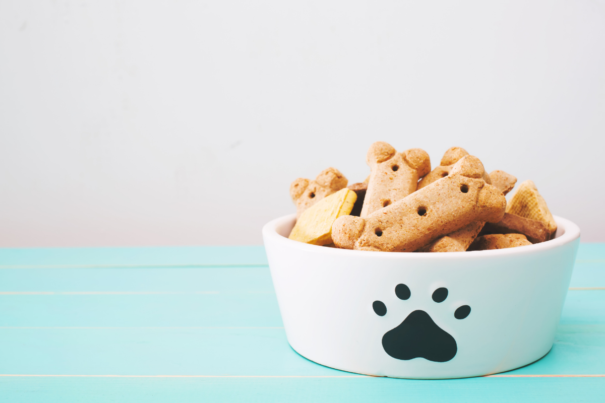 Dog friendly restaurant Stansted